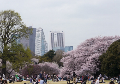Сад Синдзюку-Гёэн и вид на небоскрёбы района Синдзюку